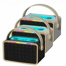 اسپیکر قابل حمل نیوریکسینگ مدل NR-8801
